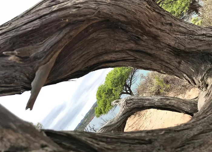 Casa Totti Vue Avec Piscine * Porto-Vecchio (Corsica)